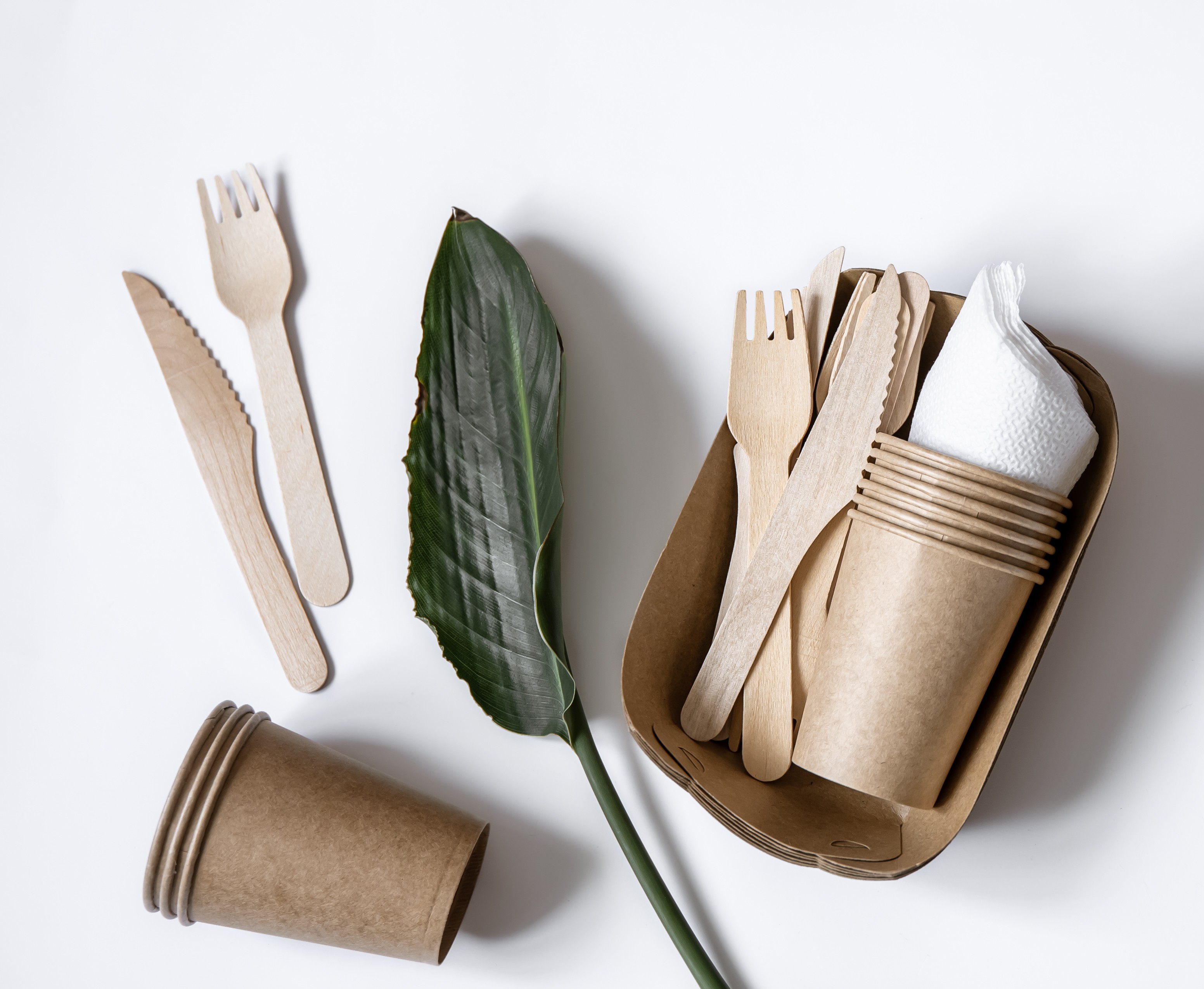 Sustainable Packaging